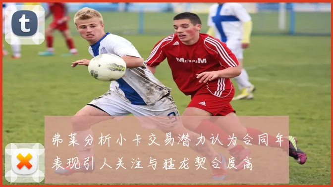 弗莱分析小卡交易潜力认为合同年表现引人关注与猛龙契合度高